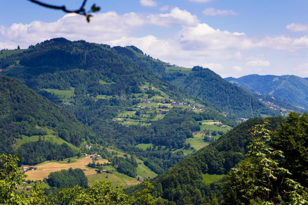 Villa Bomas House Cerkno Exterior foto